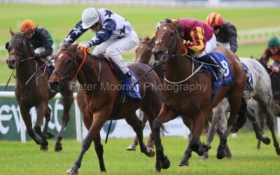 The Curragh 26/10/22