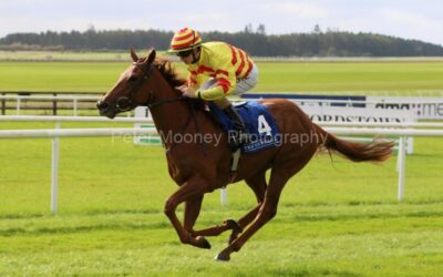 The Curragh 08/10/22