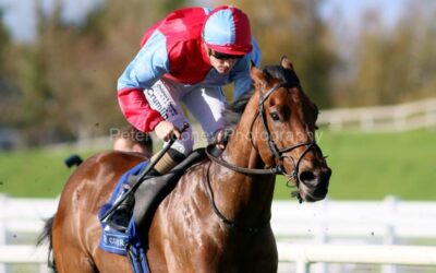 The Curragh 23/10/22