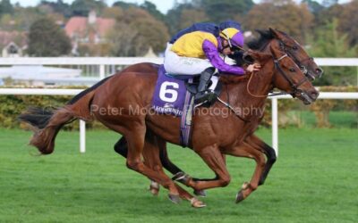 Leopardstown 22/10/22