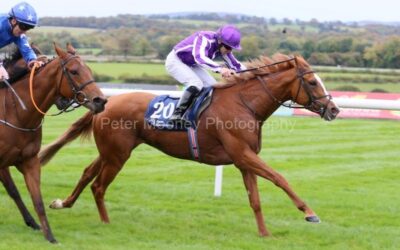 Naas 16/10/22