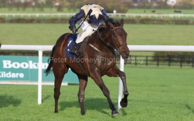 Naas 06/11/22