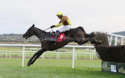 Punchestown 19/12/22