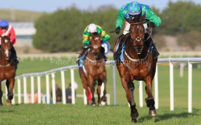 Naas 08/01/23