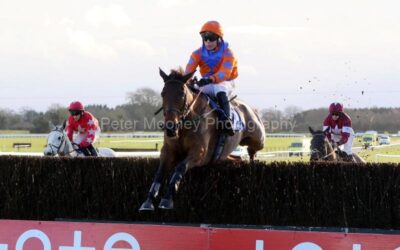 Fairyhouse 14/01/23