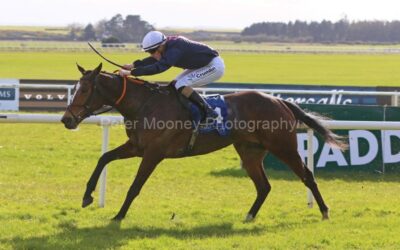 The Curragh 25/03/23