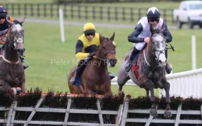 Naas 12/03/23