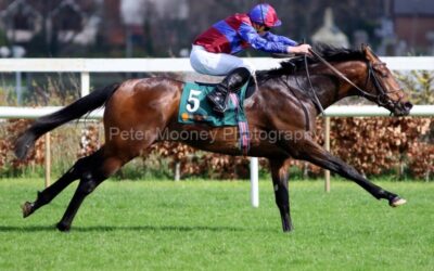 Leopardstown 02/04/23
