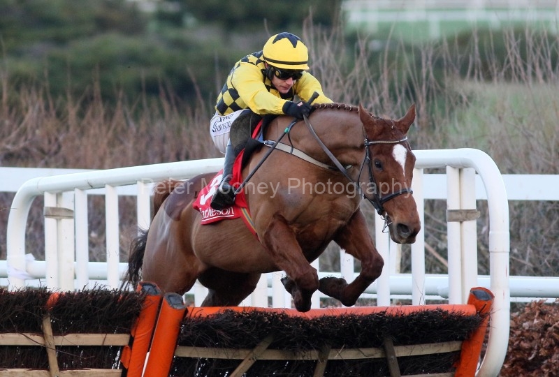 Leopardstown 29/12/23