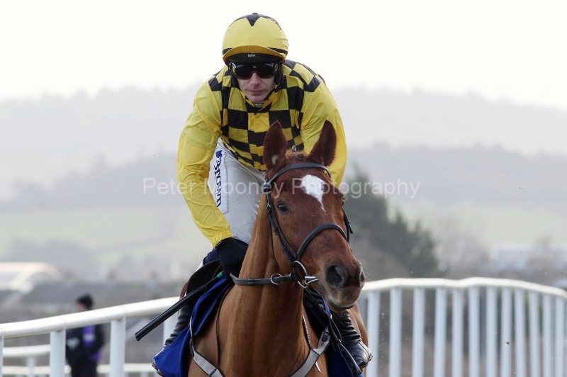 Leopardstown 04/02/24