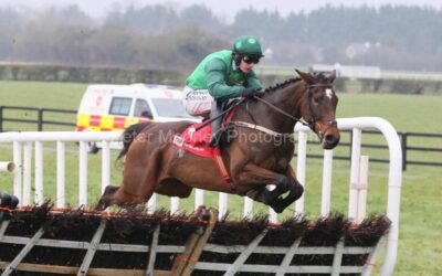 Naas 10/03/24