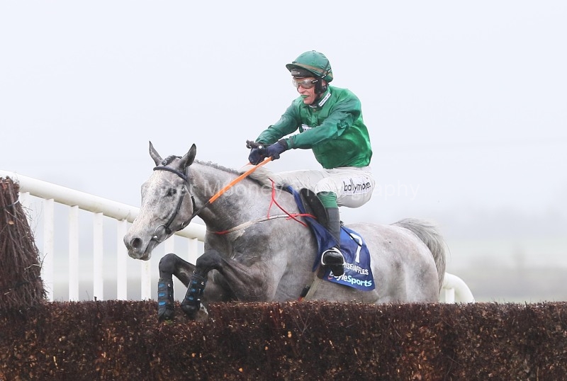 Fairyhouse 01/04/24