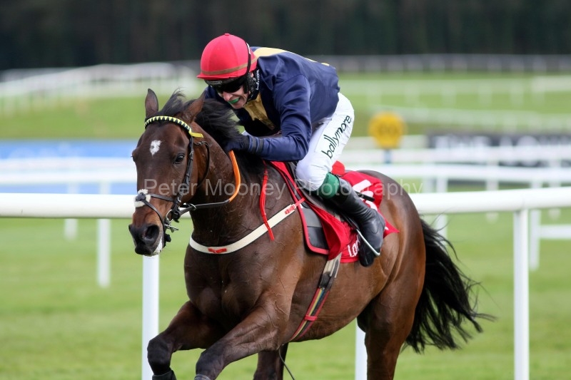 Punchestown 01/05/24