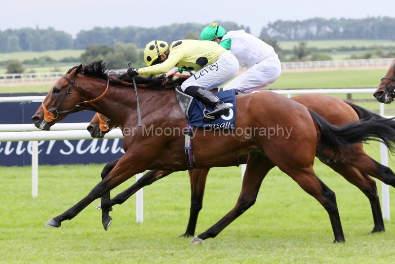 The Curragh 25/05/24