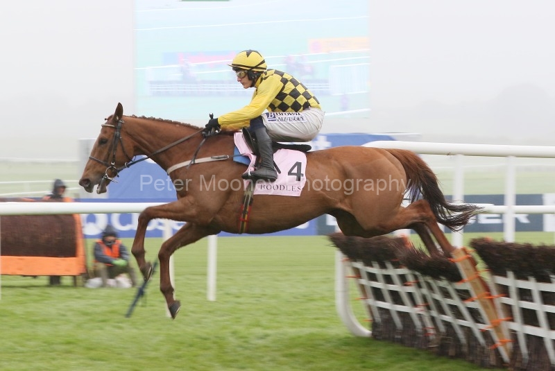 Punchestown 03/05/24