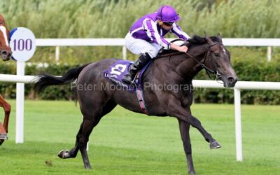 Leopardstown 25/07/24