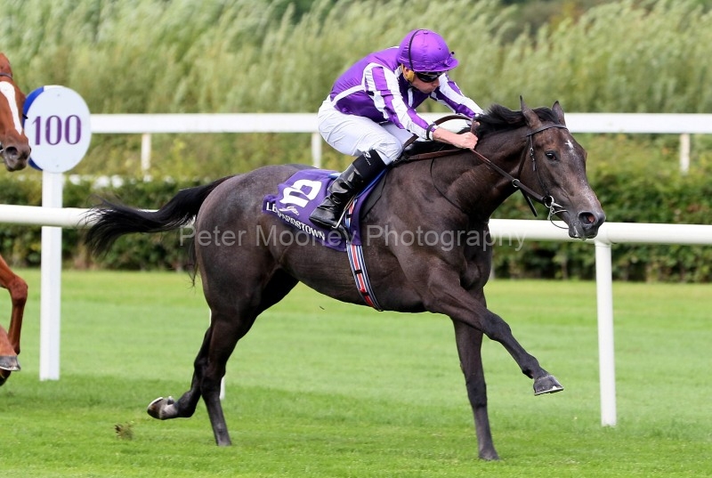 Leopardstown 25/07/24