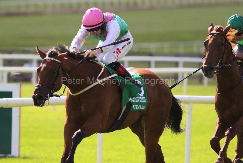 The Curragh 10/08/24