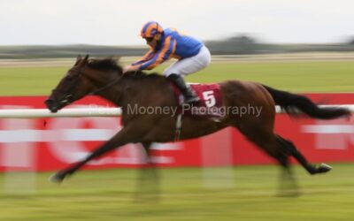 The Curragh 17/08/24