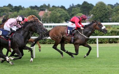 Leopardstown 08/08/24