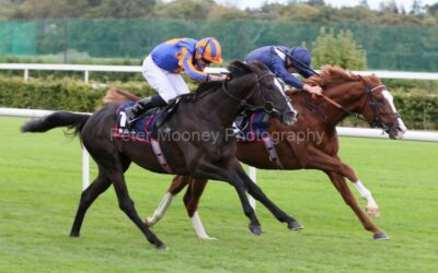 Leopardstown 14/09/24