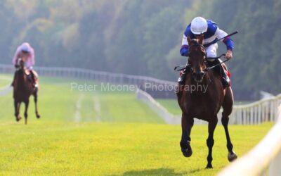 Gowran Park 21/09/24