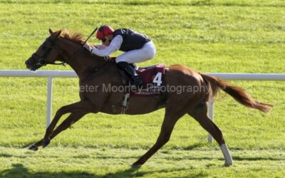 The Curragh 15/09/24