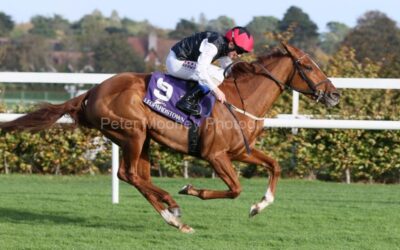 Leopardstown 20/10/24