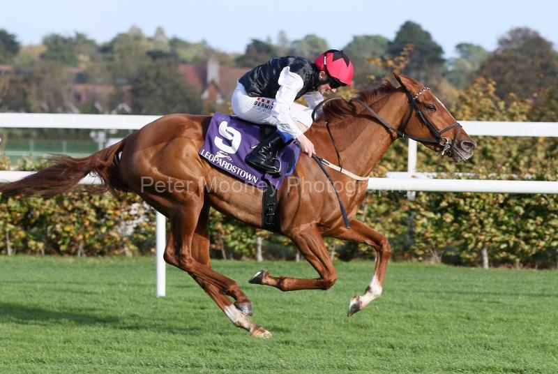 Leopardstown 20/10/24