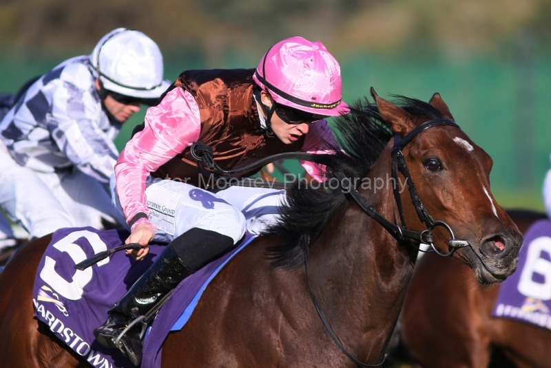 Leopardstown 19/10/24