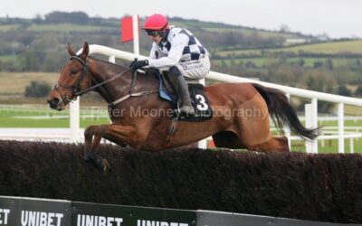 Punchestown 23/11/24