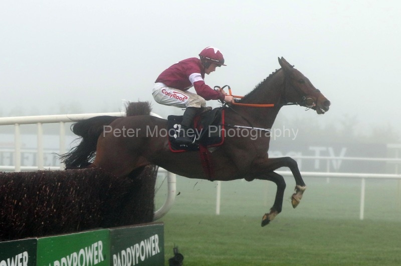 Leopardstown 26/12/24