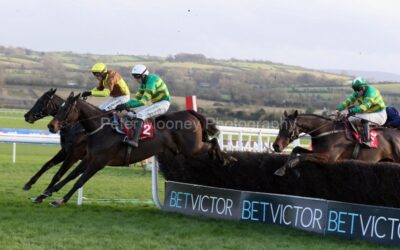 Punchestown 24/11/24