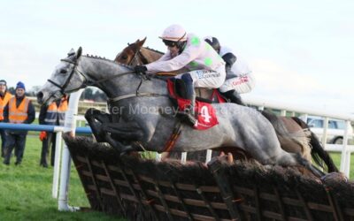 Fairyhouse 01/12/24