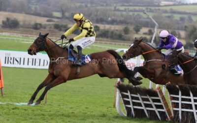 Punchestown 12/01/25