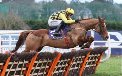 Leopardstown 02/02/25