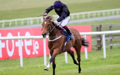 The Curragh 12/04/25