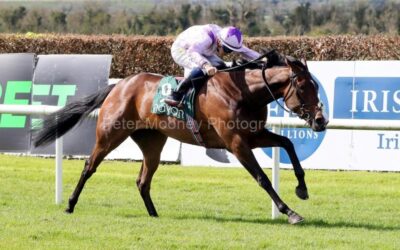 Navan 26/04/25