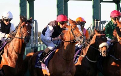 Leopardstown 16/05/25