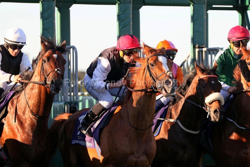 Leopardstown 16/05/25