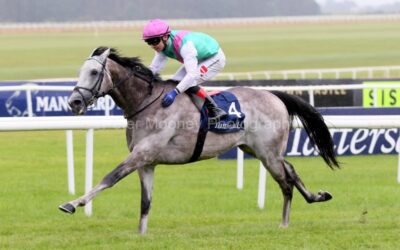 The Curragh 24/05/25