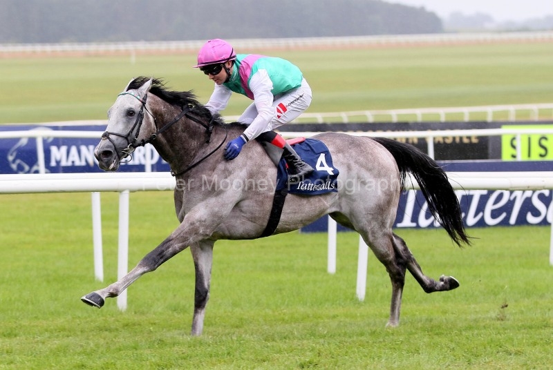 The Curragh 24/05/25
