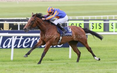 The Curragh 25/05/25