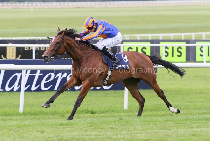 The Curragh 25/05/25