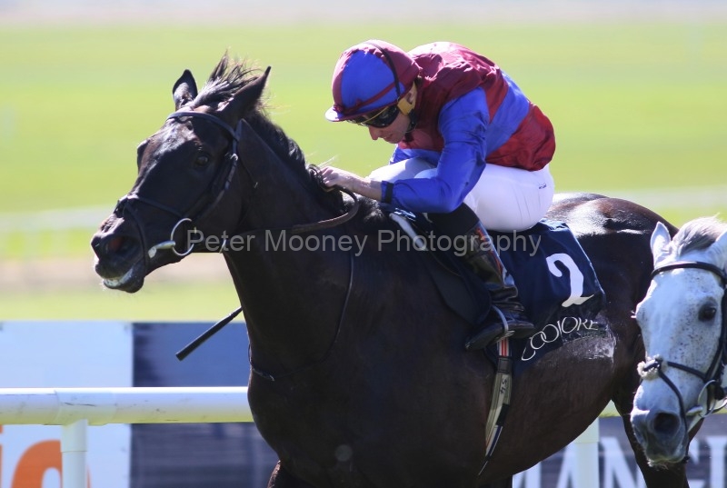 The Curragh 05/05/25