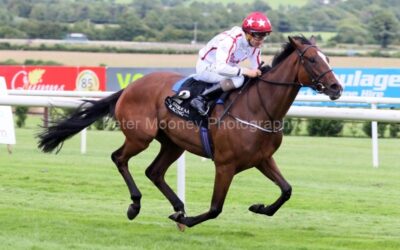 Naas 25/06/25
