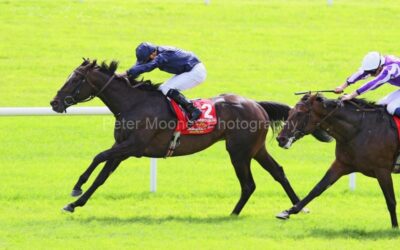 The Curragh 29/06/25