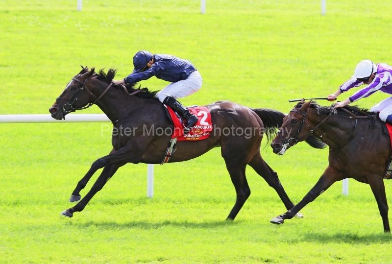 The Curragh 29/06/25