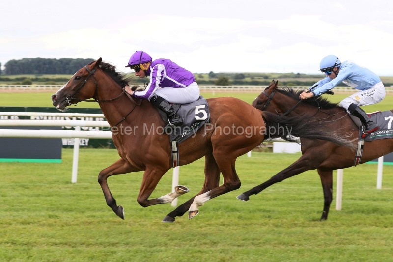 The Curragh 19/07/25