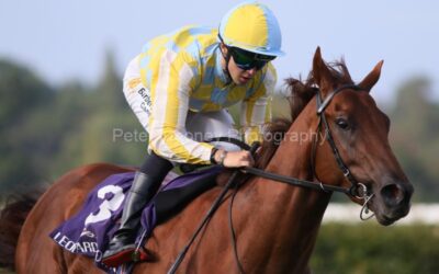 Leopardstown 24/07/25